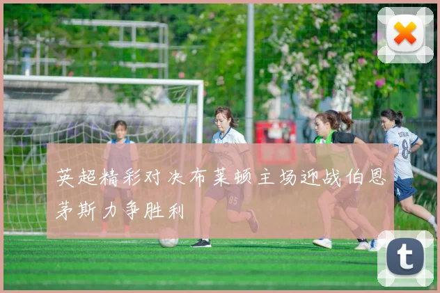 英超精彩对决布莱顿主场迎战伯恩茅斯力争胜利