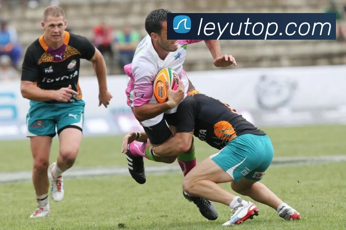 乐鱼体育平台生态图