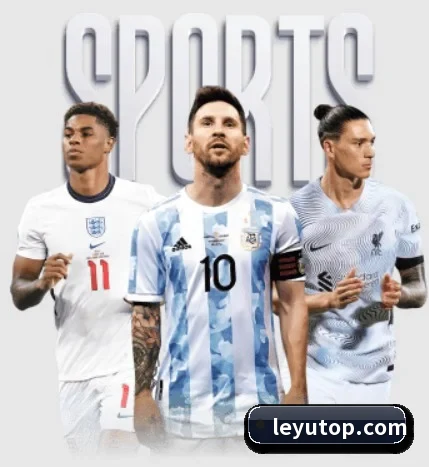 五大服务分区,信息按项目分类(Leyu)